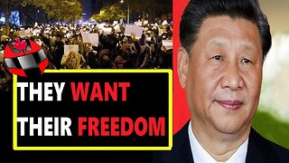 Protest in China are INSANE over ZERO COVID policy.