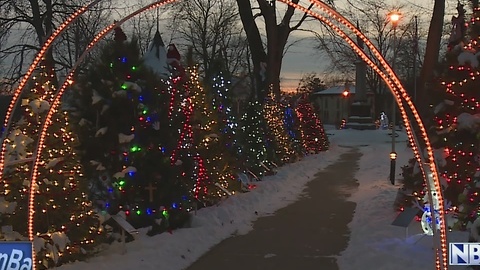 Berlin's Christmas tree park brings more than holiday cheer