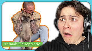 Reacting to Videos of Animal Chiropractors | Last Drop Podcast Clip