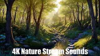 Ambient Nature Stream Sounds - Midday Forest | (AI) Audio Reactive Cinematic | Sunlight