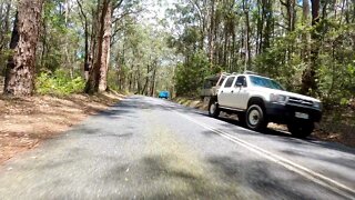 Springbrook Mountain Drive - Queensland - Australia
