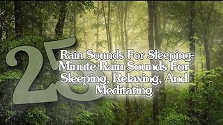 Rain Sound For Sleeping-25 Minute Relaxing Rain Sound In Forest For Sleeping,Relaxing,And Meditating