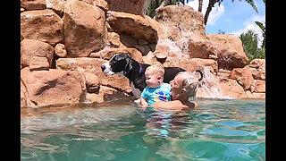 Great Dane Joins Toddler For 1st Waterfall Splashing Fun With Grandpa