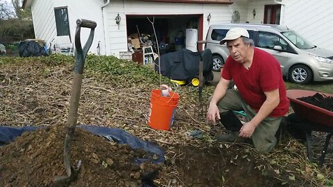 Planting our New Fruit Trees