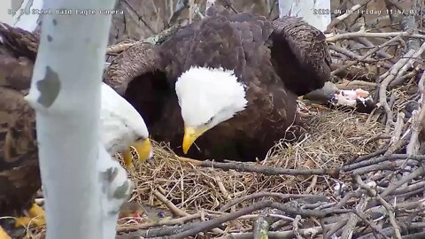 USS Eagles - Mom subdues wiggly fish