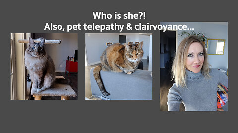 Who is she?! Also, pet telepathy & clairvoyance...