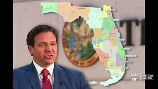Florida judge to block DeSantis' redistricting plan