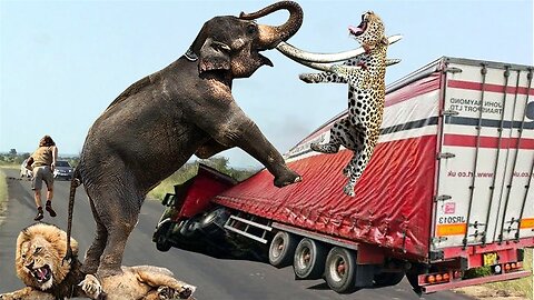 Riot! Crazy Elephants Devastate People's Homes and Vehicles Too Brutal - Elephant Vs Lion, Leopard