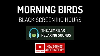 Morning Birds | Black Screen | Bird Sounds | Relieve Stress, Relaxing, Nature, Drift to Sleep