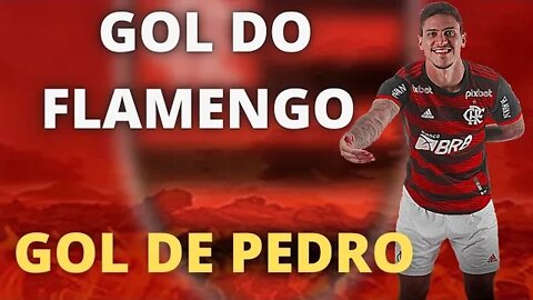 GOL DO PEDRO/ FLAMENGO X VÉLEZ/ SEMIFINAL LIBERTADORES 2022