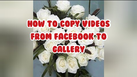 How to copy videos from facebook to gallery