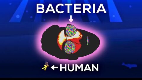 ⚪️ Kurzgesagt's How Large A Bacteria Can Get [ No Answer ]