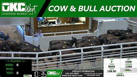 9/25/2023 - OKC West Weekly Cow & Bull Auction