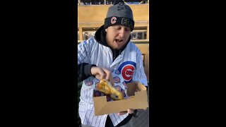 Have you ever seena worse looking pretzel!?FOOD REVIEW AT WRIGLEY FIELD