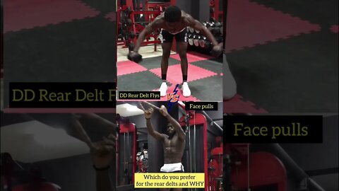 Workout For Rear Delts at Gym