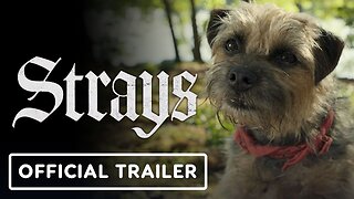 Strays - Official Red Band Trailer #2