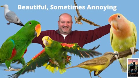 Birds can be beautiful…and annoying … Deerwood Realty and Friends…Ep. 27