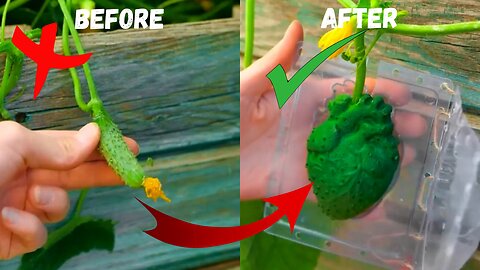 Amazing Gardening Hacks and useful tricks | EasyHacks99