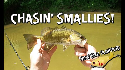 Ohio Topwater Smallmouth Fishing - Smallest Whopper Plopper Yet!