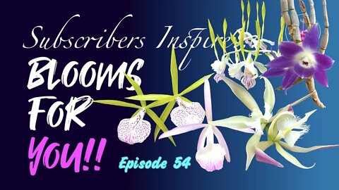 SUBSCRIBERS INSPIRE| You color my life | Blooms for YOU! Episode 54 🌸🌺🌼💐#Orchids #OrchidsinBloom