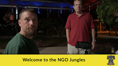 Welcome to the NGO Jungles