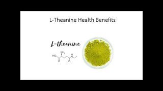Theanine Benefits for Stress & Cognition