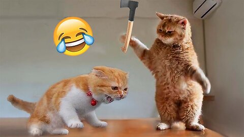 The best funniest🤣 animal videos 2023 🐻 | funny cat, dogs, animals video🐶 Ep.1