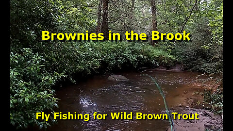 Change that was not for the better! Fly Fishing for Wild Brown Trout