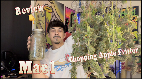 Topsm0ker420: DaytoDay S01EP05 !!!!!! Chopping Apple Fritter & Mac1 Review !!!!