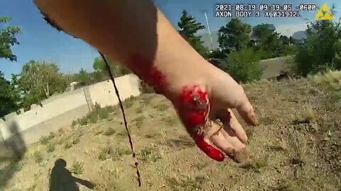 Body cam video shows violent shootout with police and gunman that left 5 people injured