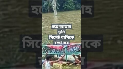 হেআল্লাহ তুমি সিলেট বাসিকে রক্ষা কর..এ রকম ভিডিও যেন আর না দেখতে হয়..যারযার সন্তান তার কাছেথাকে যে