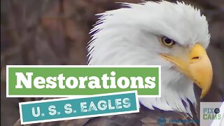 U. S. S. Eagles - Nest maintenance & tree view