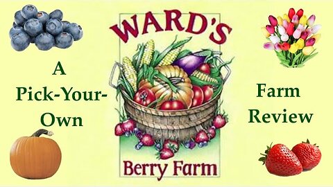 Wards Berry Farm Review.