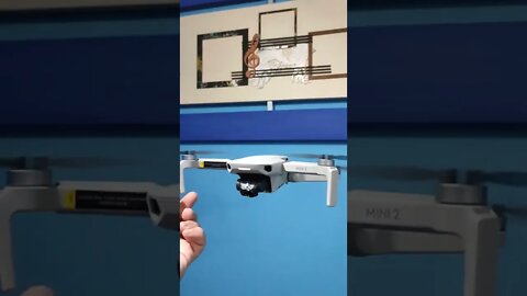 MINI 2 E MAVIC MINI #shorts #mavicmini #mini2 #dronemassa