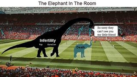 Impact On Pregnancy And Conflicts of Interest