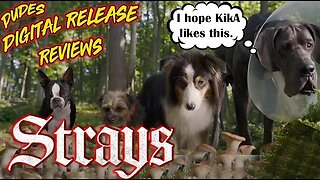 Dudes Digital Release Reviews - Strays