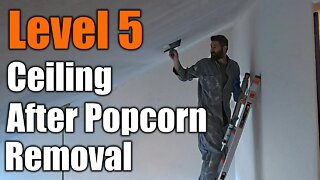 Perfectly Smooth Ceiling After Popcorn Removal | LEVEL 5 | THE HANDYMAN |