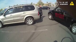RAW: Vegas police rescue dogs from car