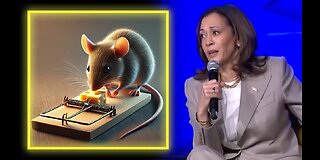 Reparations = Cheese On A Mouse Trap