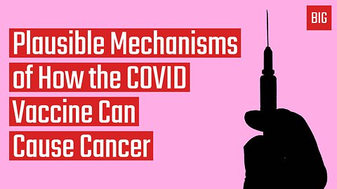Plausible Mechanisms of How the COVID Vaccine Can Cause Cancer