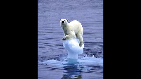 Polar Ice Melting 🥺