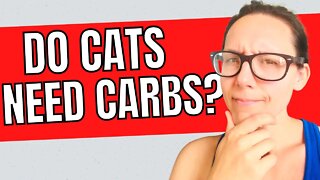 Do cats need carbohydrates?