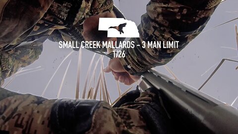 Small Creek Mallards: 3 Man Limit Waterfowl Hunting | Outdoor JACK