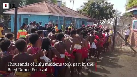 (S) Zulu maidens reed dance