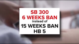 Florida GOP passes 6-week abortion ban