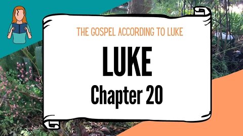 Luke Chapter 20 | NRSV Bible