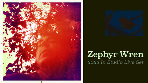 Zephyr Wren | Into Dust | 2023 In Studio Live Set 4K | Mazzy Star Cover