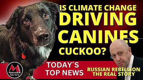 Maverick News | Russian Rebellion Aftermath | Climate Change Making Dogs Aggressive
