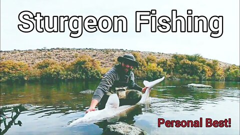 IDAHO Sturgeon Fishing PERSONAL BEST!
