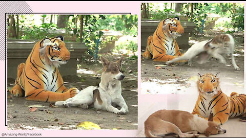 fake tiger prank on dog